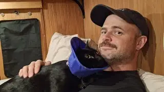 Support Plum's Recovery and Panda's Growth ( GoFundMe )