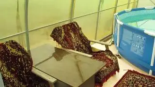 Бассейн в теплице  кресло кровать ковер