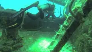 Wreck & Shark Diving - Nassau, Bahamas