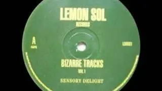 Bizarre Tracks - Sensory Delight [1992]