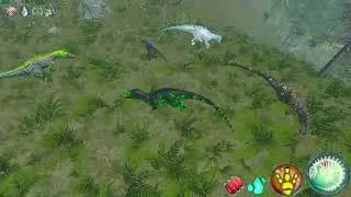 Beasts of Bermuda