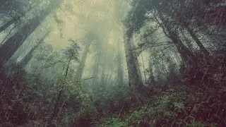The monotonous noise of the rain and the rain without a thunderstorm 10 hours for sleep