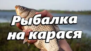 Рыбалка на карася в Курагинском районе