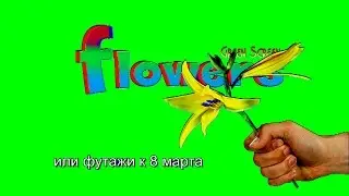 футажи к 8 марта -GreenScreen flowers  HD1080