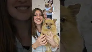 MILA JE NESTALA!!! DELITE VIDEO