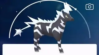 Pokemon GO Zebstrika Pokedex 360 Degree View