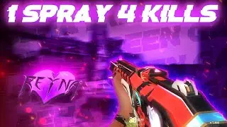 1 Spray & 4 Kills With Reyna In Valorant || #Shorts #BehatreenGamer #Reyna