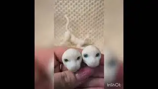 BJD Doll sphinx cat white / БЖД шарнирная кукла кошка сфинкс белая