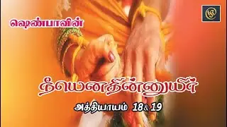 Writer Shenba's / Neeyenathinnuyir Audio Novel / நீயெனதின்னுயிர் 18 19