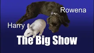 The Big Show