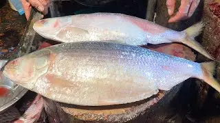 Super Fast Big Hilsa Fish Cutting | 50$ ilish Cutting Live In Bangladesh Fish Market |Cutting Skills