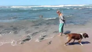 VID 20150918 130651