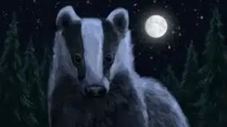Разбор Персонажей(Полночь)_Коты Воители_
