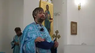 Вписывается ли Новый Завет в «программу» естественного отбора?