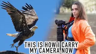 Bald Eagles, Wildlife, Cloudy Landscapes All Day with the Cotton Carrier