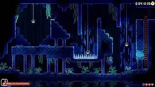 ANIMAL WELL Speedrun | Any%, 6:23.23