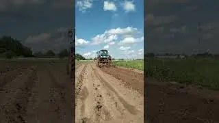 Ежи в деле