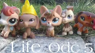Lps: Life Episode #5