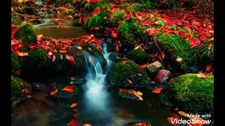 СПОКОЙНАЯ МУЗЫКА (ПИАНИНО) МУЗЫКА УЧЁБА, И ДЛЯ СНА