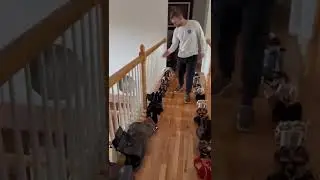 don't forget the pair she's wearing lol |#176 Viral Short| Viral Short|