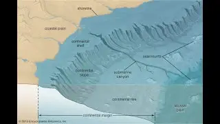 Slope & Rise Depositional Systems