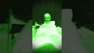 12 ноября 2023 г.