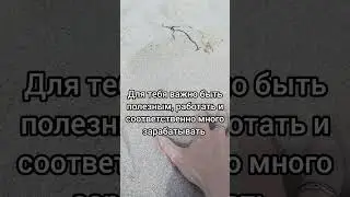Суть имени Алексей #нумерология #квантоваянумерология #значениеимени