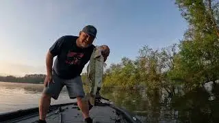 Smith Lake - Spotted Bass Frenzy