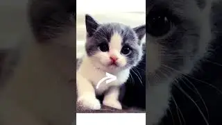:)