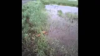 Не большой велосипедный поход))1#