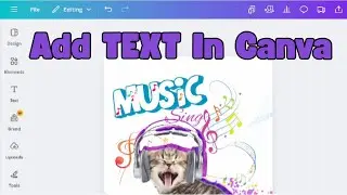 Learn How To Add Text To Canva Designs | Easy Canva Tutorials for Complete Beginners