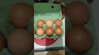 МАМА КУПИЛА КУРИНЫЕ ЯЙЦА