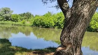 Йәшлегем. Нуриян Ишкуловтың сихри моңдарында.