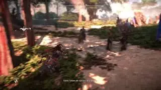 Horizon Запретный Запад НГ+ Часть 13