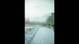 Зимние путешествие и новый год у настоящей елки