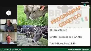 PROGRAMMA GENETICO COSA C'È DI NUOVO