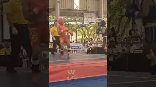 🔵Jhay-r Gregorio(Region1) Vs Cris Dustin Aduna(Region XI)🔴Palarong Pambansa Wushu Sanda Group A 52kg