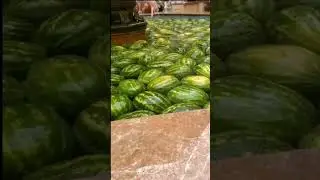 Арбузы плавают в фонтане 