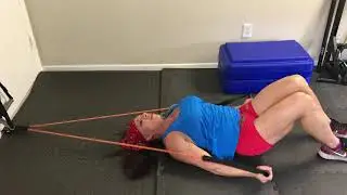 The Fit Cage Lay down tricep pull