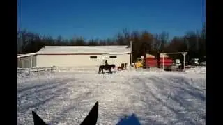 Bashko au galop 5-12 - debut