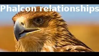Связи в моделях Phalcon (relationships)