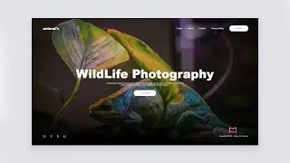How To Create An Awesome Website Design Using Mockplus
