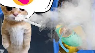BANANA CAT 🍌🐱 BABY BAD LUCK 😿 VIDEOS 42 ( 2 MINUTES )