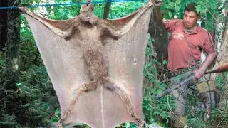 Scariest Creatures Ever Caught