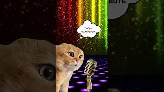 танцы наше новое шоу 