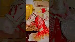 Zuljinah Nawab Badshah Faisalabad 🧿❤️‍🩹#zuljinah #shortvideo #viralvideo #youtubeshorts