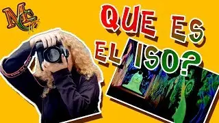 What is the ISO Value