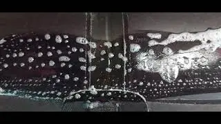 Жаворонок , травят баллоны(2)
