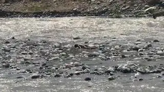 Ду кудакро да варзоб куштан