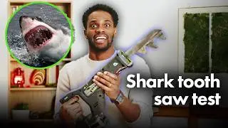 Cutting stuff with shark teeth! We made a shark-tooth saw